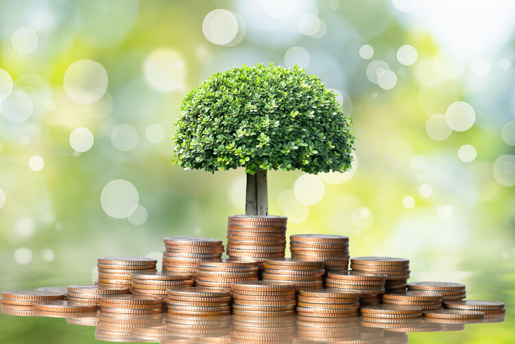 Tree and coins