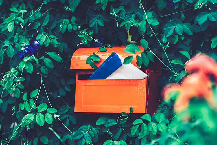 1099-Rs Have Been Mailed